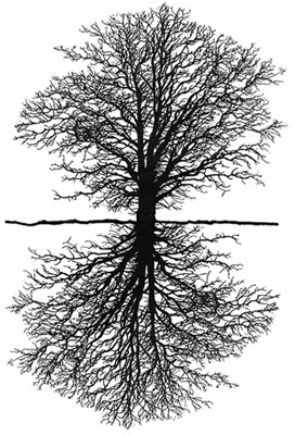 The Lost City Beneath